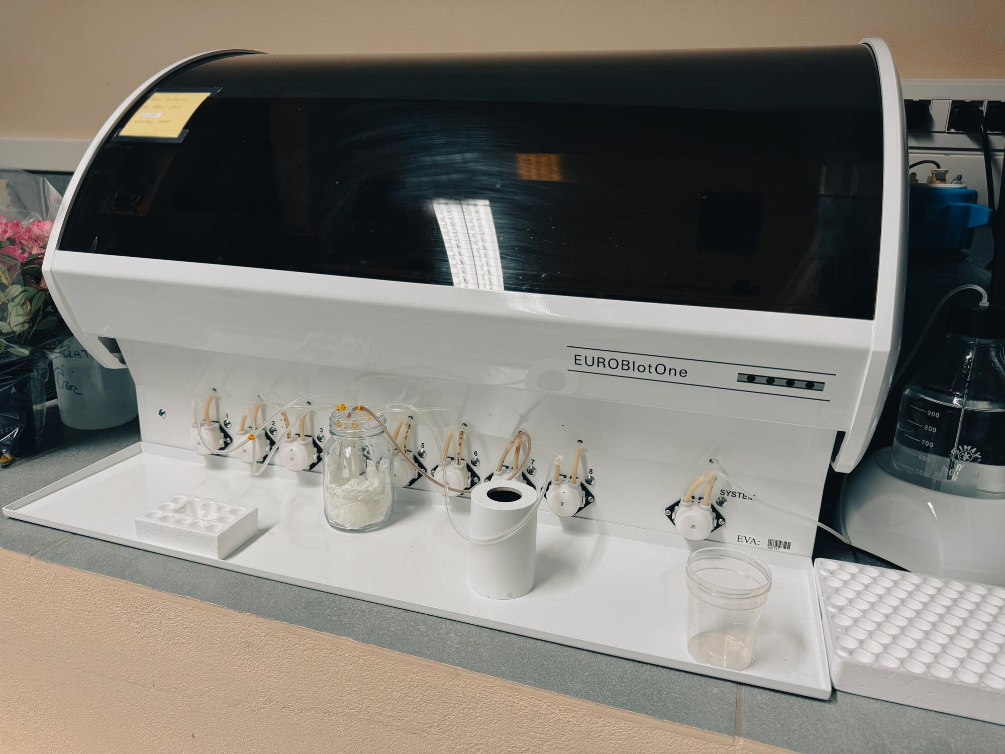 laboratorio-analisi-mediche-san-giorgio-pavia-san-genesio-uniti-milano-555