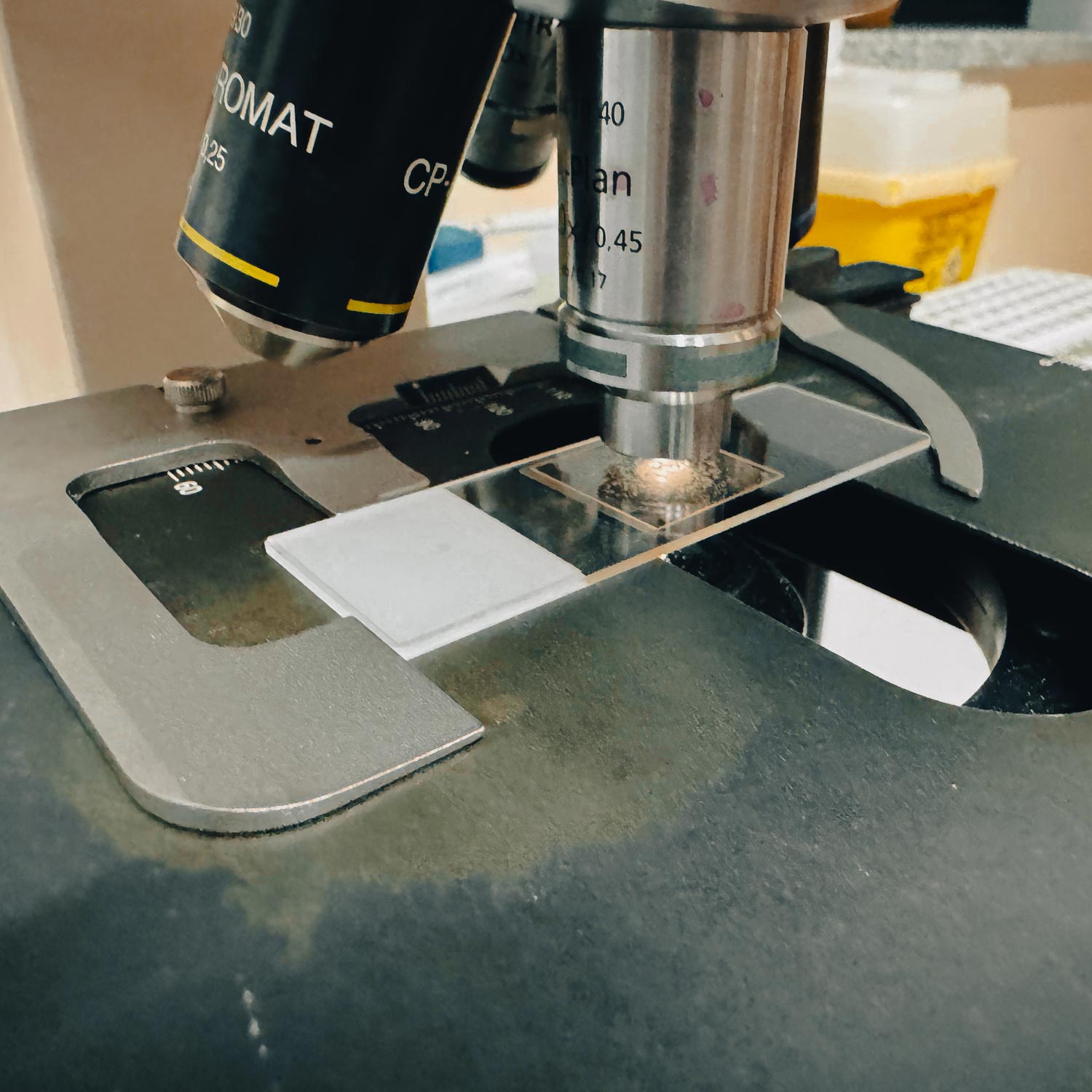 laboratorio-analisi-mediche-san-giorgio-pavia-san-genesio-uniti-milano-558