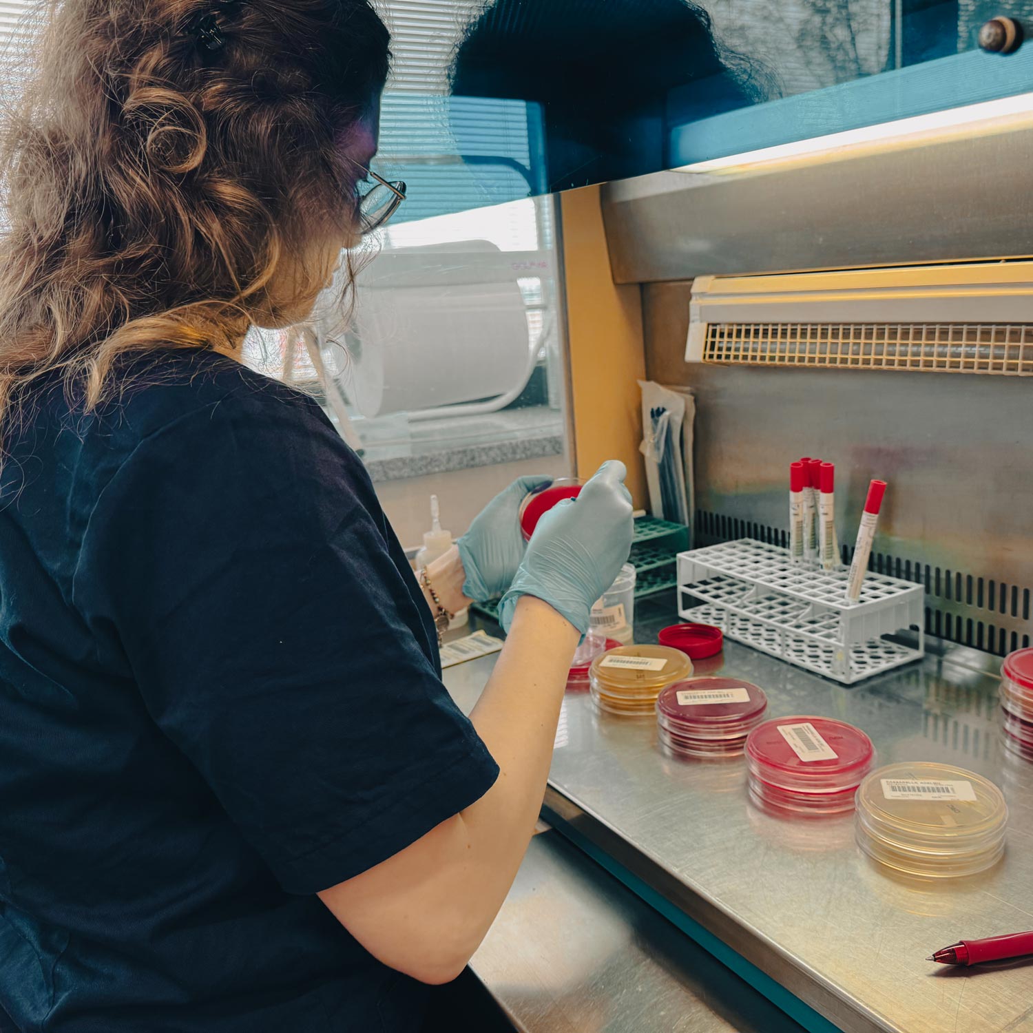 laboratorio-analisi-mediche-san-giorgio-pavia-san-genesio-uniti-milano-570